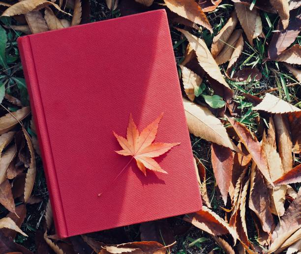 Books and autumn maple leaves
