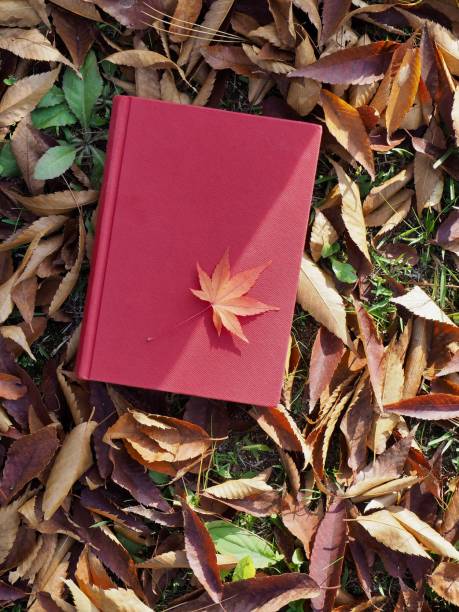 istock Books and autumn maple leaves 1059403494