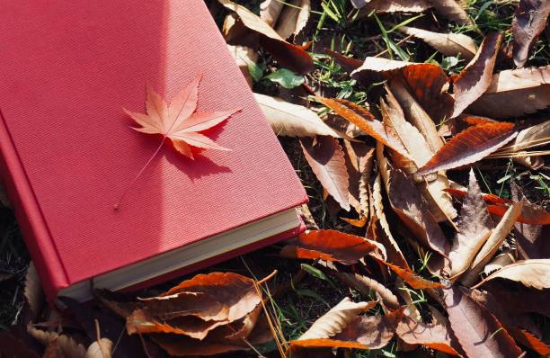 istock Books and autumn maple leaves 1059403502