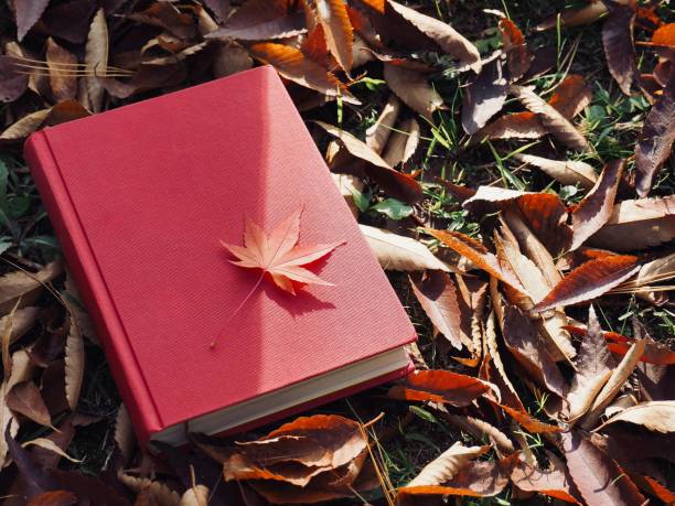istock Books and autumn maple leaves 1059403638