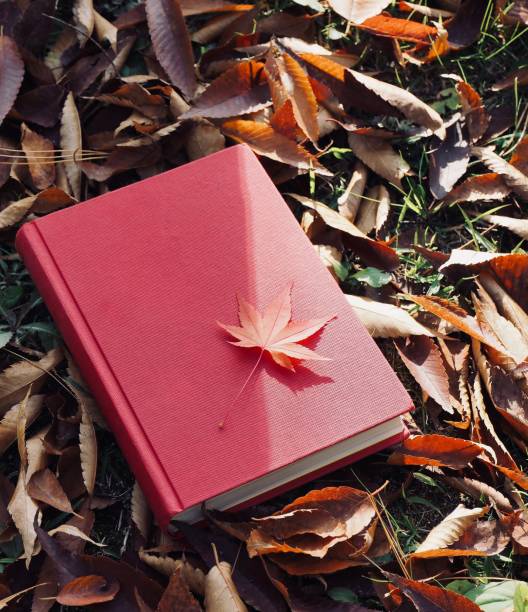 istock Books and autumn maple leaves 1059403964
