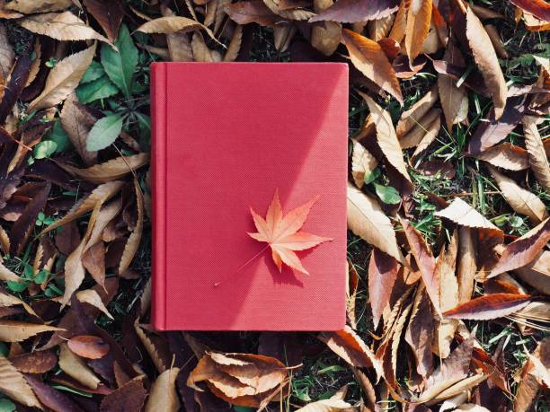 istock Books and autumn maple leaves 1059404518