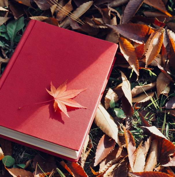 istock Books and autumn maple leaves 1059404526