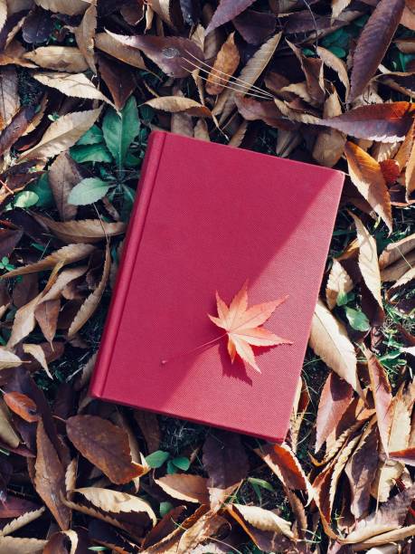 istock Books and autumn maple leaves 1059404528