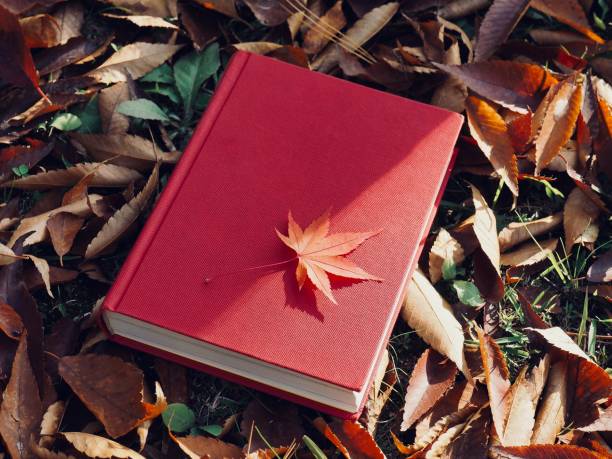 istock Books and autumn maple leaves 1059404530