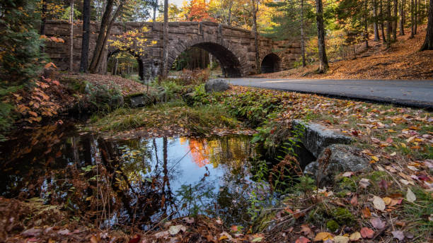 istock Autumn in Acadia National Park 1059409606