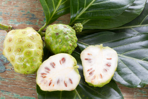istock Noni fruits on the table, Morinda citrifolia. 1059413040