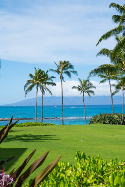 istock Kapalua Beach, Maui, Hawaii 1059413094