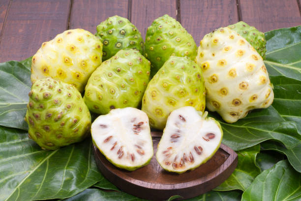 istock Noni fruits on the table, Morinda citrifolia. 1059413668