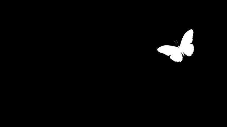 2,095 Butterfly Animation Stock Videos and Royalty-Free Footage - iStock 2,095 Butterfly Animation Stock Videos and Royalty-Free Footage - iStock