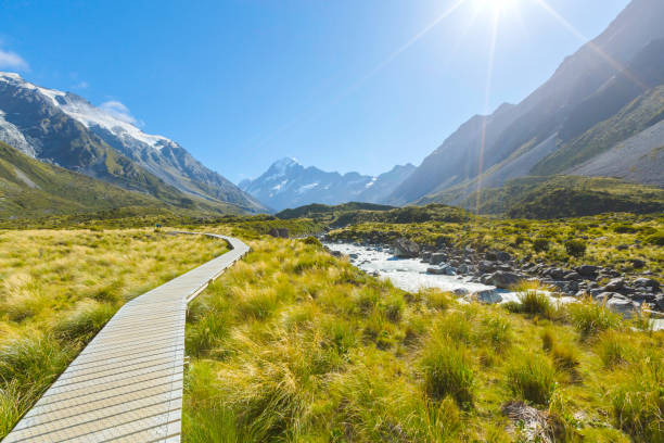 istock Footpath trail section in Hooker Valley on a track leading to Aoraki, Mount Cook, highest peak of Southern Alps, New Zealand 1059419344