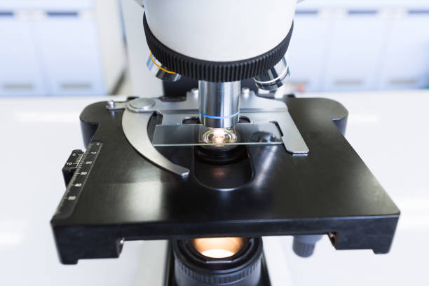 istock Close up of microscope at the blood laboratory, Concept Science and Technology 1059419398