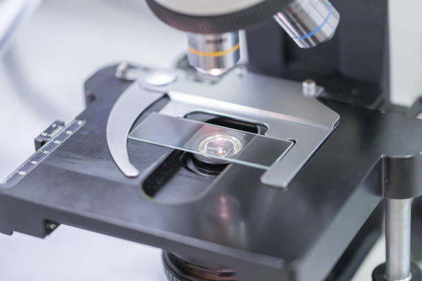 istock Close up of microscope at the blood laboratory, Concept Science and Technology 1059419662