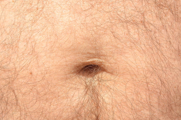 Male hairy stomach with belly button Male hairy stomach with belly button hairy fat man pictures stock pictures, royalty-free photos & images