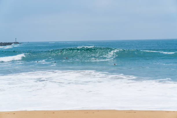 istock The Wedge in Newport Beach 1059420446