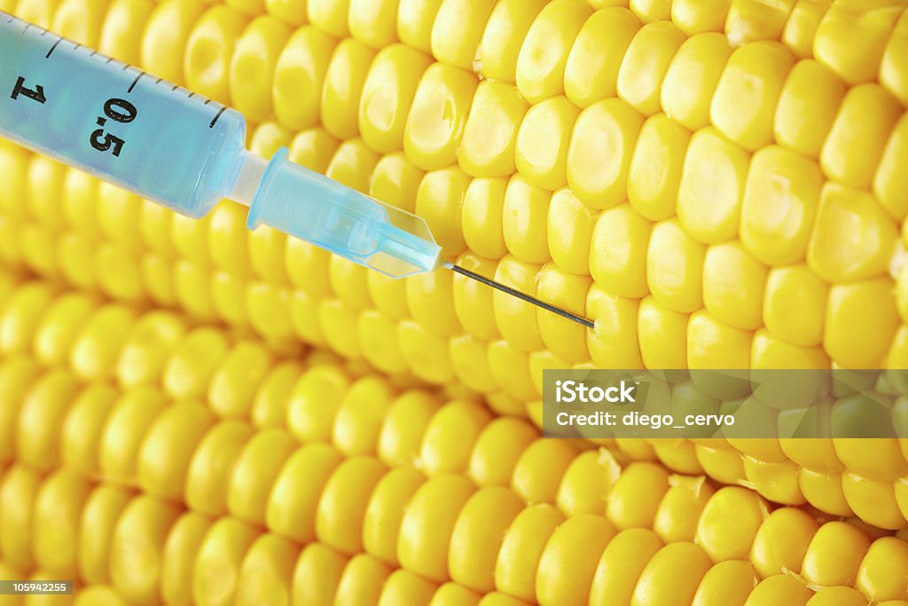 シリンジネジ切りの穀物-トウモロコシ - DNAのロイヤリティフリーストックフォト