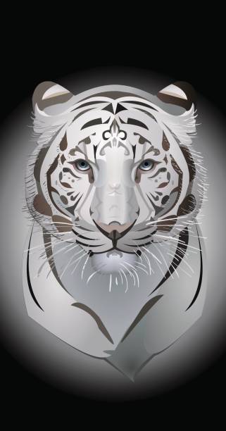 White Tiger Vector Art Graphics Freevector Com