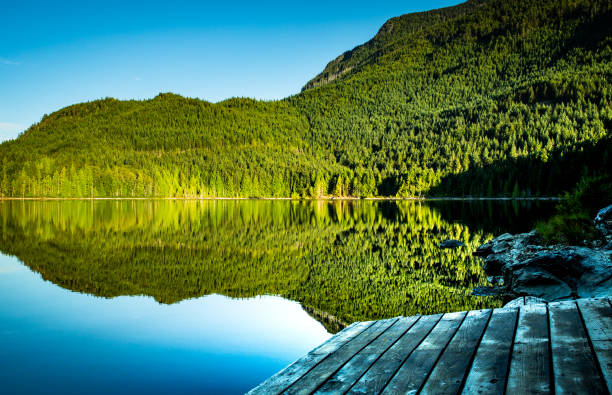The Dock at Raily Day Lake with Reflection of Trees and Sky stock photo
