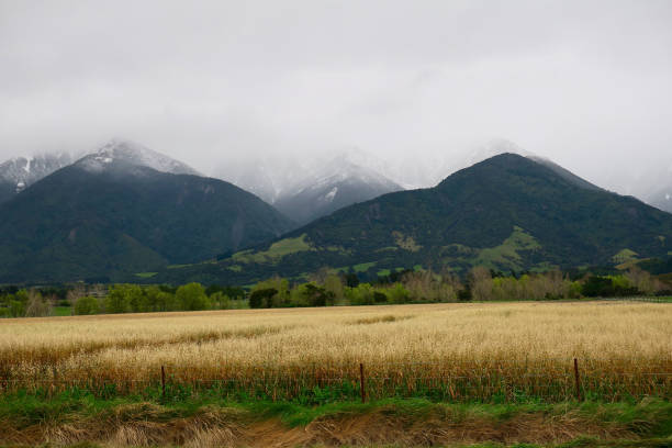 beauty in nature in bad weather