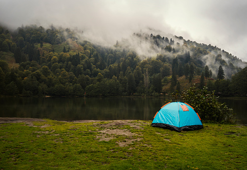 Camping tent in pine tree forest by the lake near Artvin, Turkey