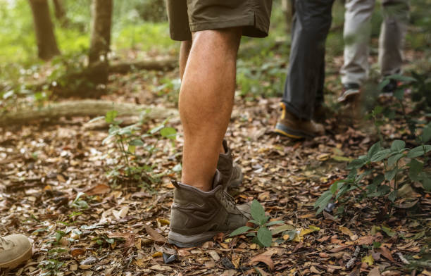 istock People trekking in the forest 1059448728
