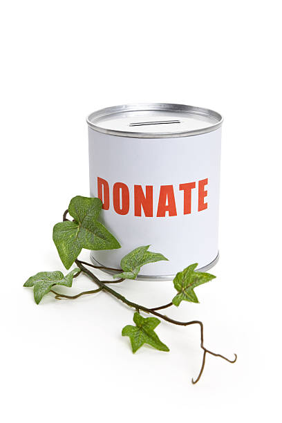 istock Donation Box and Green Plant 105944945