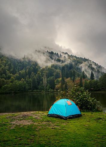 Camping tent in pine tree forest by the lake near Artvin, Turkey