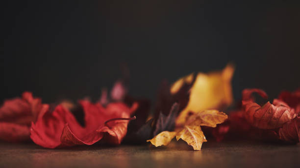istock Autumn Background with Real Leaves 1059451318