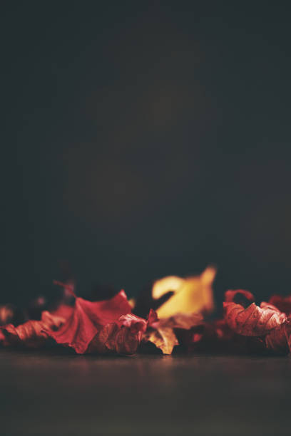 istock Autumn Background with Real Leaves 1059451330