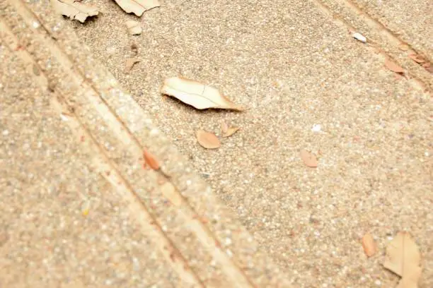 A piece of dead leaves on the gravel concrete stair