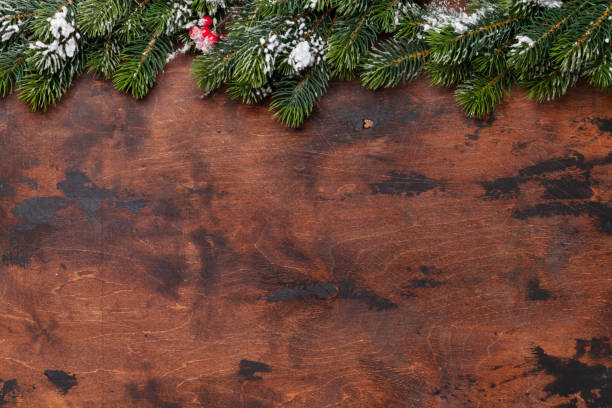 istock Christmas fir tree branch covered by snow 1059454398