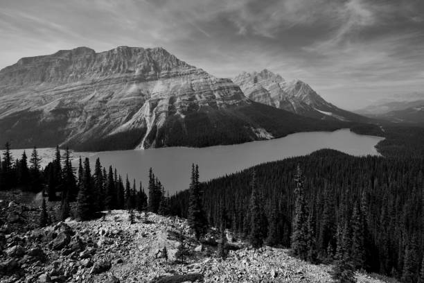 istock Peyto Lake Banff National Park 1059454938