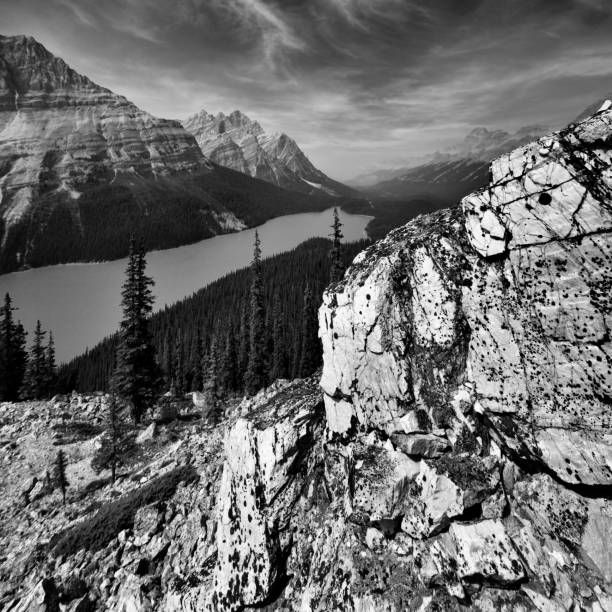 istock Peyto Lake Banff National Park 1059455018