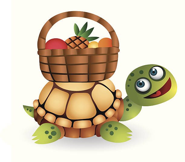 turtle; vector art illustration