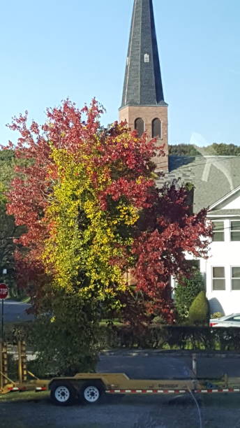 istock Tri color tree and church 1059456348