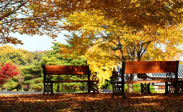 istock VH503 The Autumn Bench 1059456852