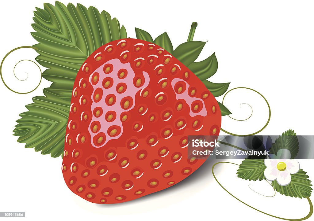 strawberry with leaves and flower strawberry with leaves and flower vector illustration Berry Fruit stock vector