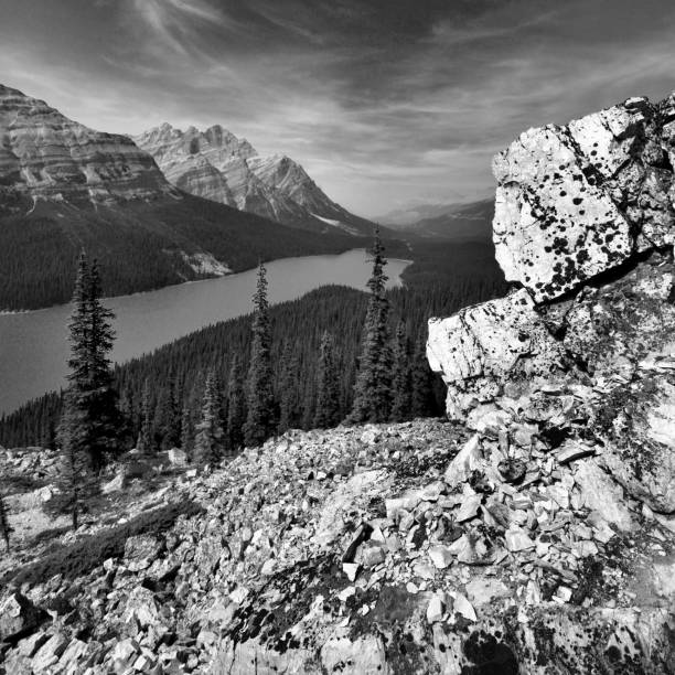 istock Peyto Lake Banff National Park 1059456918