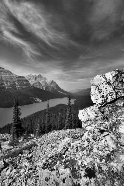 istock Peyto Lake Banff National Park 1059456968