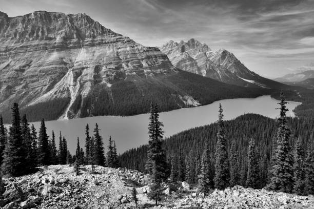 istock Peyto Lake Banff National Park 1059458080