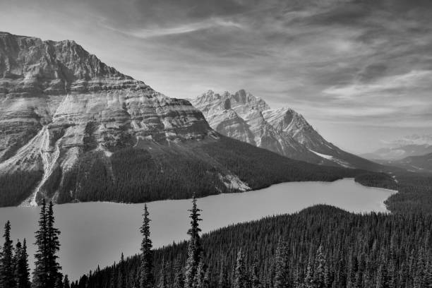 istock Peyto Lake Banff National Park 1059458262