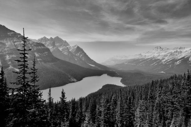 istock Peyto Lake Banff National Park 1059458592