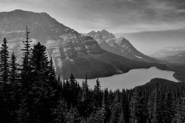 istock Peyto Lake Banff National Park 1059459712