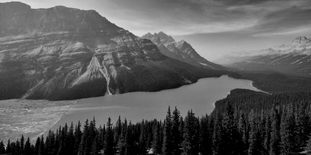 istock Peyto Lake Banff National Park 1059459840