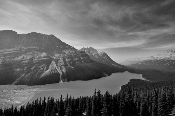 istock Peyto Lake Banff National Park 1059459962