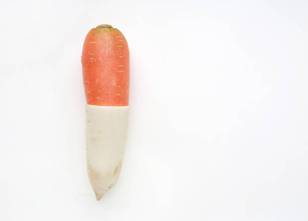 Cut half of fresh carrot and radish on white background with copy space.
