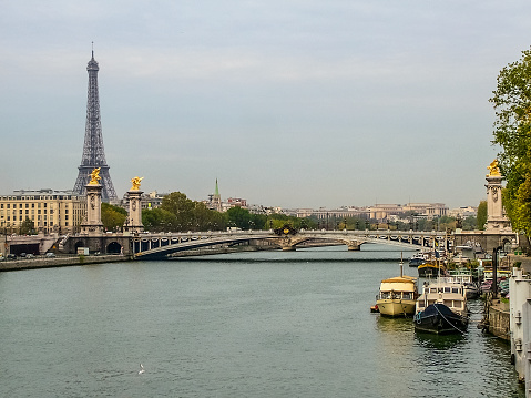 The Eiffel tower and the Seine river with Statue of Liberty Paris France