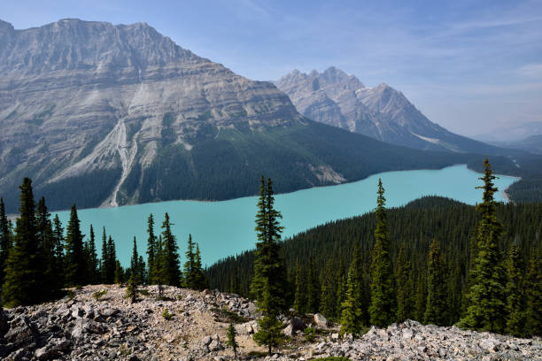 istock Peyto Lake Banff National Park 1059466064
