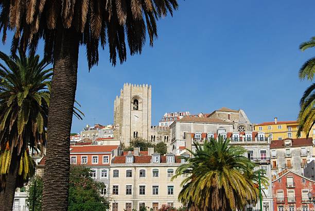 istock Lisbon cathedral with trees and buildings 105947332