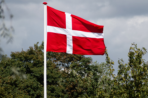 Danish flag in a park